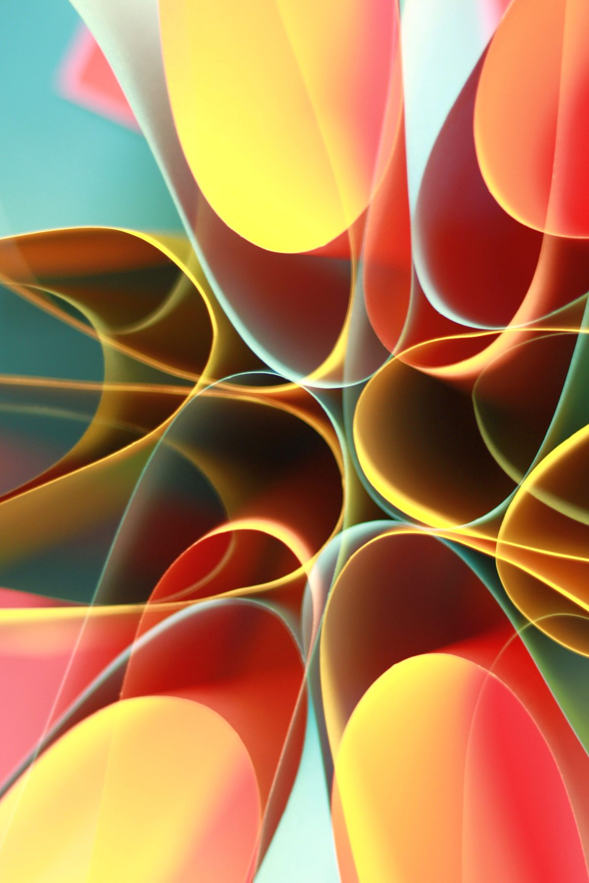 Soft folds of marigold and amber curving around each other like turning petals